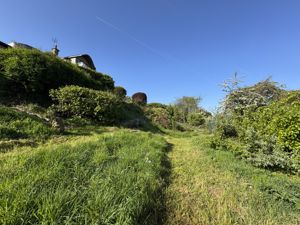 Nature Area- click for photo gallery